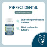 Perfect Dental Dog - Hygiene and dental reinforcement for dogs - Lore & Science